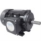 # WA681 - 1/3 HP, 208-230/460 Volt