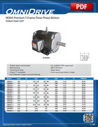 NEMA Premium T-Frame (Rolled Steel ODP)