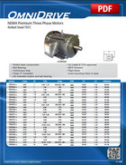 NEMA Premium (Rolled Steel TEFC)
